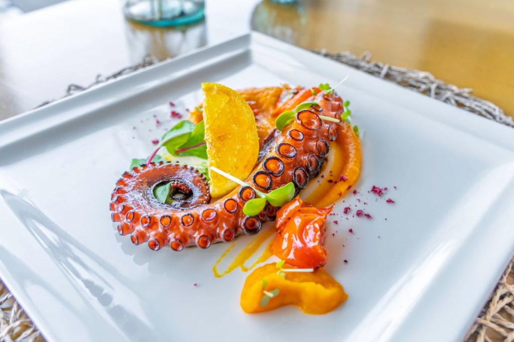 Artistic presentation of a gourmet octopus dish with citrus garnish on a square plate.